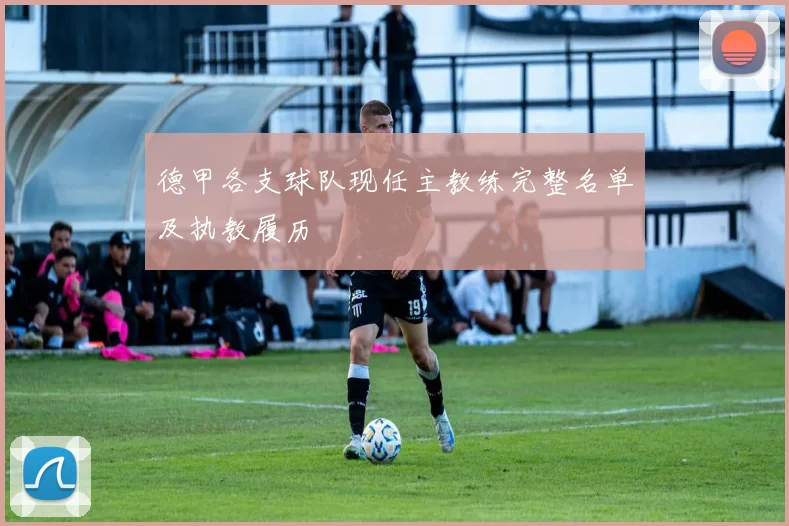 德甲各支球队现任主教练完整名单及执教履历